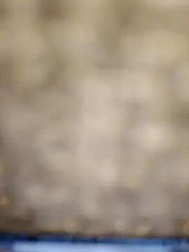 Snapshot of 618fuckupp chatting on October 27, 2025, 11:25 am 618fuckupp online show from October 27, 2025, 11:25 am