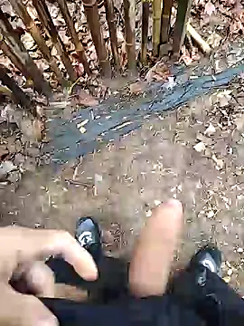 puertordic online show from December 29, 2024, 1:38 pm