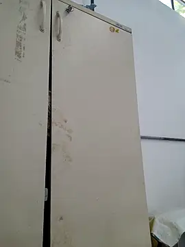 tesaodaweb online show from February 21, 2026, 10:16 am