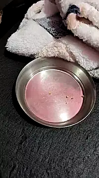 Snapshot of Whitehouse01 chatting on January 13, 2025, 2:42 pm Whitehouse01 online show from January 13, 2025, 2:42 pm