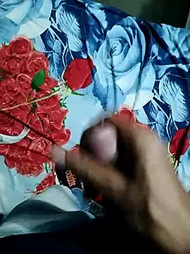 Snapshot of Kingxey chatting on January 1, 2025, 12:55 pm Kingxey online show from January 1, 2025, 12:55 pm