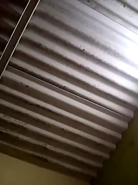 Piya Ji online show from March 3, 2025, 8:49 am