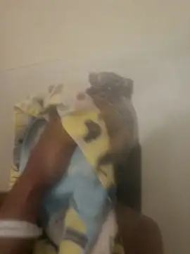 Looking4Jerries online show from December 31, 2024, 6:48 am