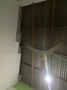 elflalope online show from March 15, 2025, 12:04 am