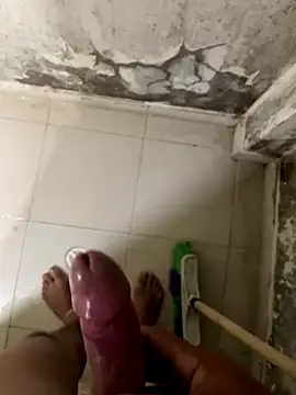 elflalope online show from November 7, 2025, 7:52 am