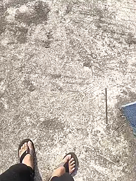 aryan 8051 online show from January 12, 2025, 4:31 am