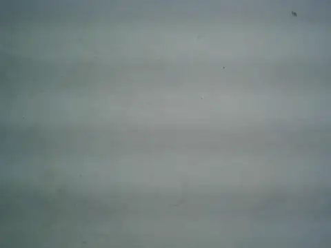 Snapshot of michel1520 chatting on June 9, 2026, 4:35 am michel1520 online show from June 9, 2026, 4:35 am