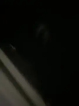 PerroDemonioHot online show from February 27, 2025, 2:54 pm