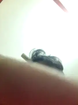 Snapshot of Marvelous_Piyush chatting on March 6, 2025, 8:19 am Marvelous Piyush online show from March 6, 2025, 8:19 am