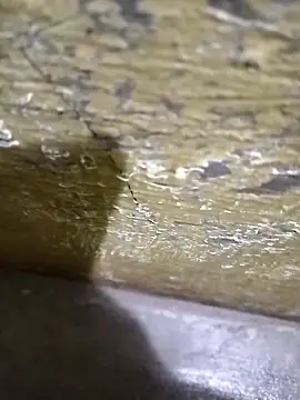 Snapshot of Southindian6996 chatting on February 26, 2025, 4:24 pm Southindian6996 online show from February 26, 2025, 4:24 pm