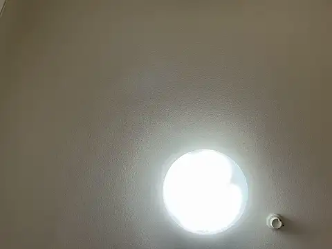 riri riri jp online show from March 31, 2026, 11:43 am