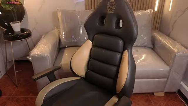 Kitten Cam online show from February 20, 2026, 3:36 am