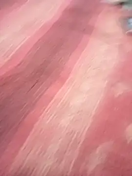 bdmaksuda1 online show from March 21, 2025, 4:07 pm