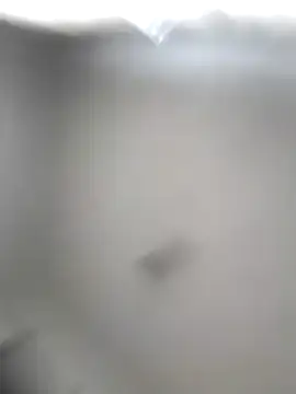 Godessofpleasxa online show from December 16, 2025, 8:19 am