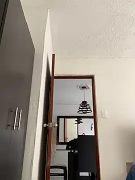 Snapshot of Diegosavage3 chatting on February 6, 2025, 8:45 pm Diegosavage3 online show from February 6, 2025, 8:45 pm