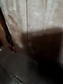 Snapshot of Raj41 chatting on September 20, 2025, 1:39 am Raj41 online show from September 20, 2025, 1:39 am