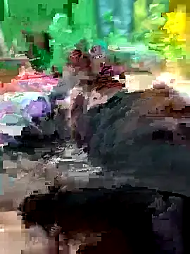 Snapshot of Raj41 chatting on February 14, 2026, 11:51 am Raj41 online show from February 14, 2026, 11:51 am