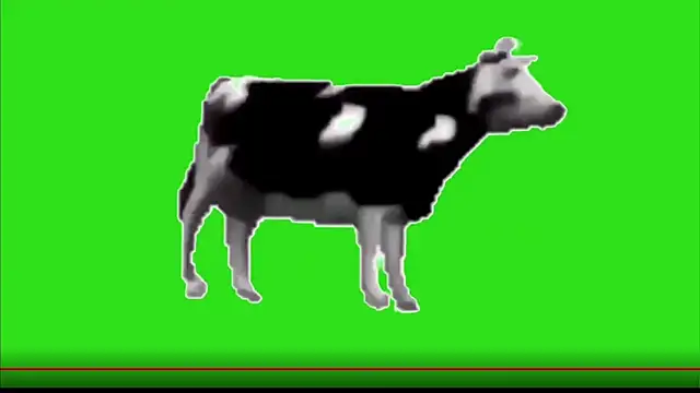 test FramedTishri m online show from May 13, 2026, 3:20 pm