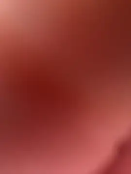 paullliliu online show from February 26, 2026, 3:44 pm