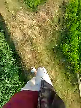 Extrembox5 online show from January 26, 2025, 3:17 am