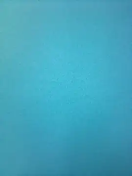 Snapshot of randit7 chatting on February 26, 2025, 9:10 am randit7 online show from February 26, 2025, 9:10 am