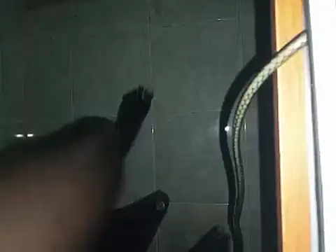 Snapshot of world_bigdick1 chatting on March 2, 2025, 6:48 am world bigdick1 online show from March 2, 2025, 6:48 am