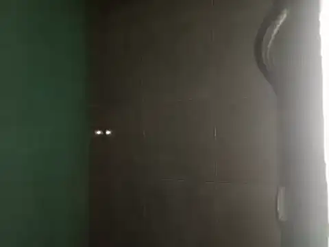 Snapshot of world_bigdick1 chatting on March 4, 2025, 11:08 am world bigdick1 online show from March 4, 2025, 11:08 am