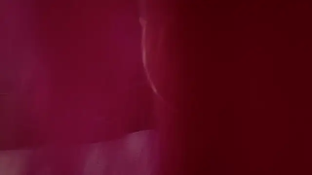 AylaPearl online show from December 16, 2025, 8:03 pm