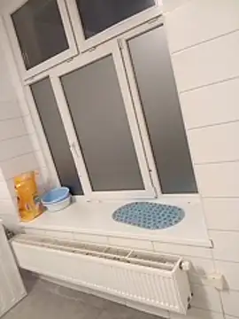 Adrianka online show from November 12, 2025, 1:39 am