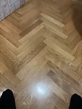 nejdb online show from February 21, 2026, 8:15 am