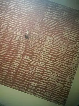 DOMINADOR5 online show from February 9, 2025, 4:29 pm