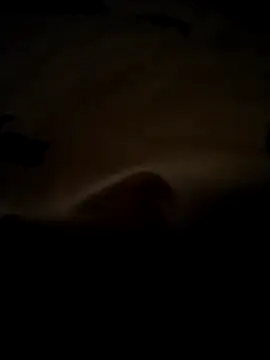 baojai01 online show from March 6, 2026, 12:01 pm