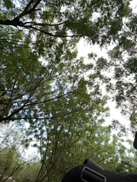 arevalo1124 online show from December 2, 2025, 9:10 pm