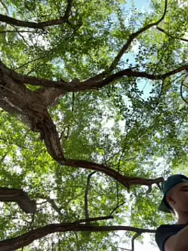 arevalo1124 online show from December 5, 2025, 3:52 pm