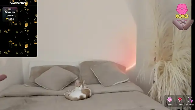 Sammy-Jhonson online show from March 29, 2026, 11:05 pm