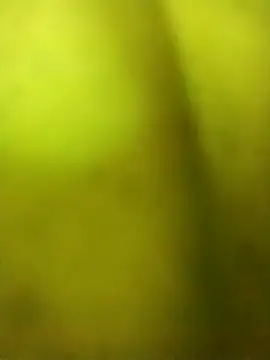 alicnonave online show from November 27, 2025, 12:02 am