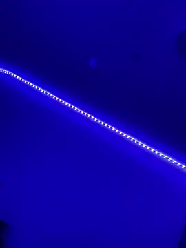 Snapshot of DaniJohnson chatting on February 7, 2025, 3:19 pm DaniJohnson online show from February 7, 2025, 3:19 pm