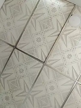 Snapshot of Niick01_ chatting on September 17, 2025, 5:03 pm Niick01 online show from September 17, 2025, 5:03 pm