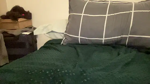 shineofcrazy online show from November 21, 2025, 12:32 am