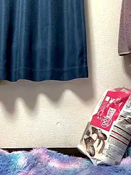 Snapshot of PINO_pino_01 chatting on November 24, 2025, 5:45 pm PINO pino 01 online show from November 24, 2025, 5:45 pm