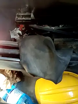 Snapshot of dominationmybigdick chatting on October 7, 2025, 10:56 am dominationmybigdick online show from October 7, 2025, 10:56 am