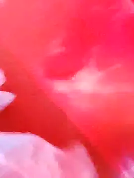 dominationmybigdick online show from December 3, 2025, 9:51 am