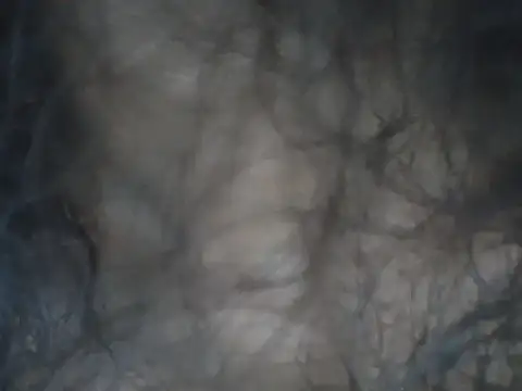 alexiaross96 online show from March 13, 2026, 5:08 pm