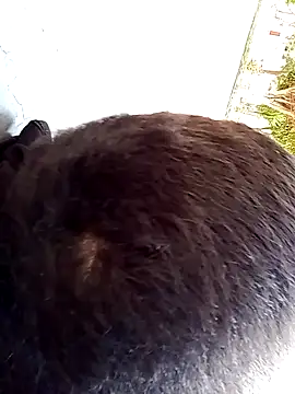 Elgroney23 online show from December 19, 2025, 4:58 pm