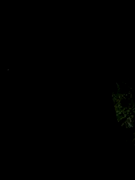 Snapshot of hintly chatting on October 29, 2025, 11:12 am hintly online show from October 29, 2025, 11:12 am