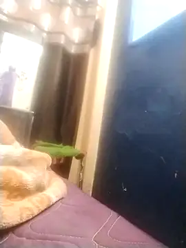 Snapshot of neha007-K chatting on March 10, 2025, 7:18 pm neha007-K online show from March 10, 2025, 7:18 pm