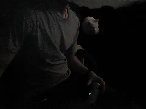 Snapshot of MarioKnero chatting on February 26, 2026, 9:52 am MarioKnero online show from February 26, 2026, 9:52 am