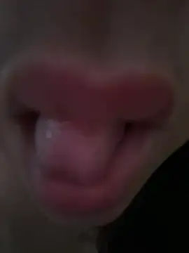 daianaspencer online show from April 13, 2026, 6:08 am