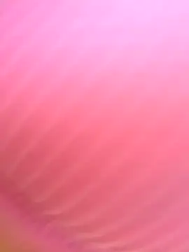 Snapshot of Dulce__Boyd chatting on November 11, 2025, 1:44 pm Dulce Boyd online show from November 11, 2025, 1:44 pm