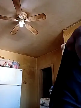 birdg online show from November 12, 2025, 6:41 pm